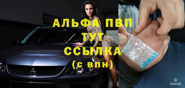 apvp Вяземский