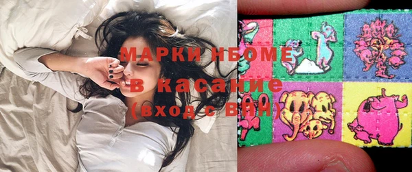 apvp Вяземский