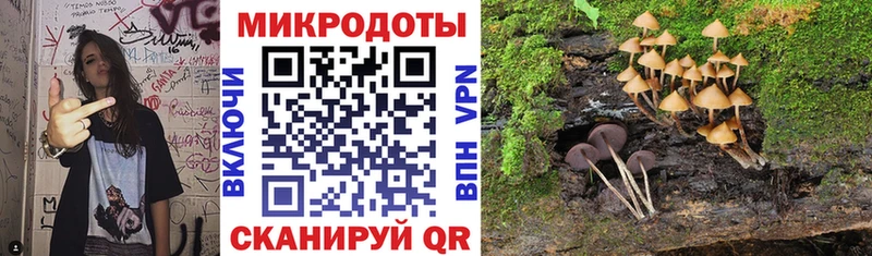 Псилоцибиновые грибы Psilocybine cubensis  сколько стоит  Кострома 